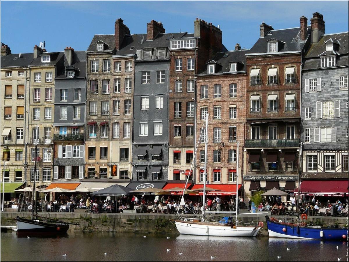 Le Cocooning D Honfleur Daire Dış mekan fotoğraf